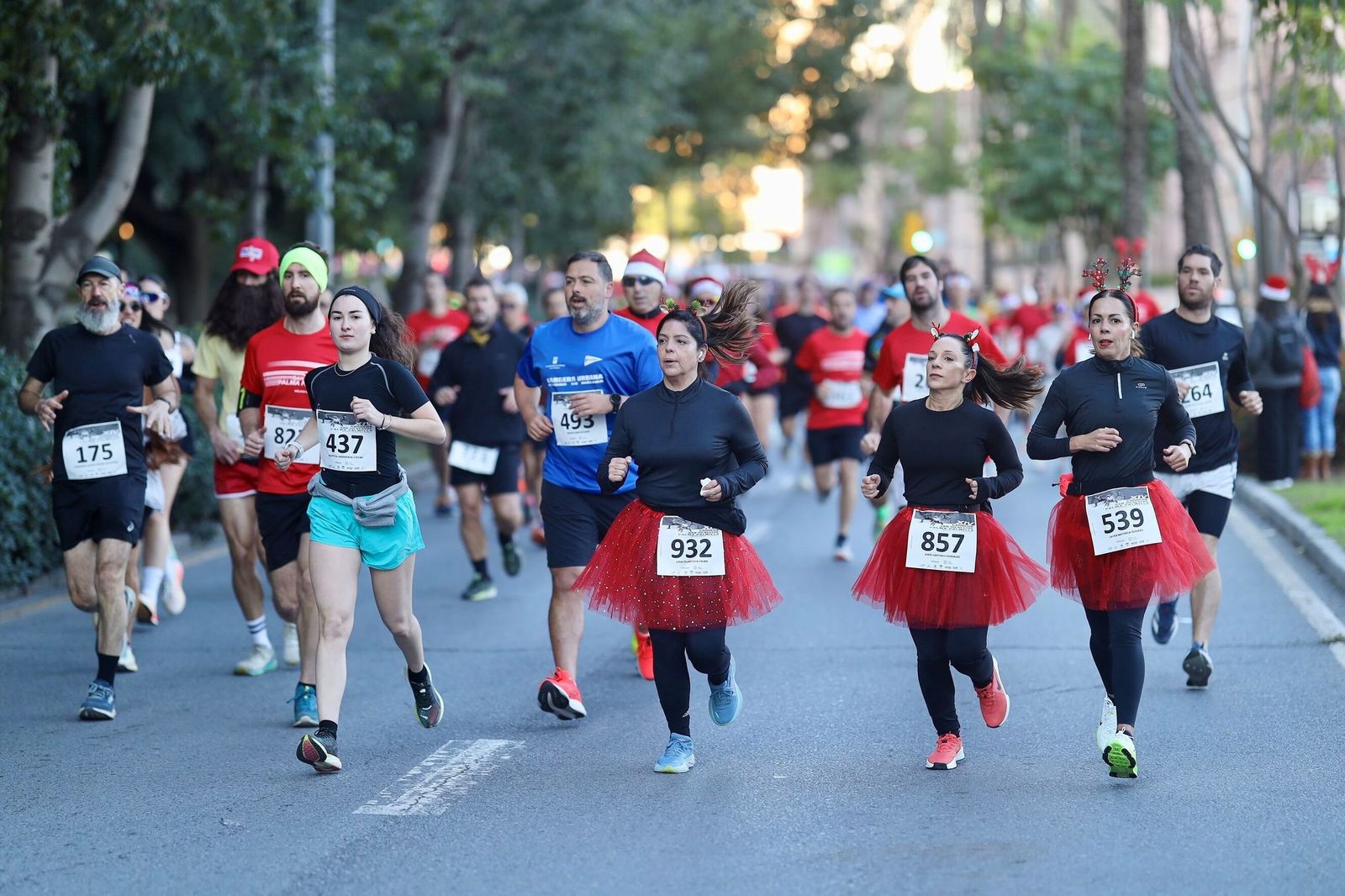 Las fotos de la XIV San Silvestre Palma-Palmilla