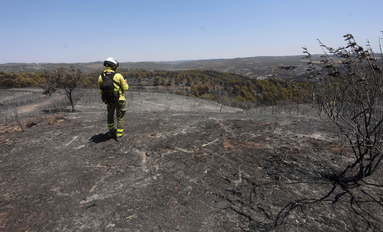 Los efectos del incendio en el Ronquillo en imágenes