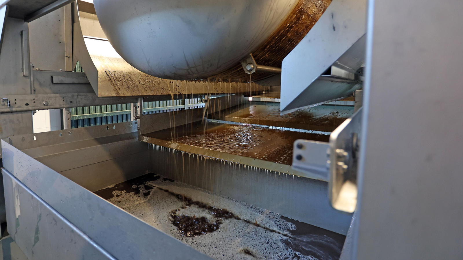 Asoleo de Pedro Ximénez en González Byass