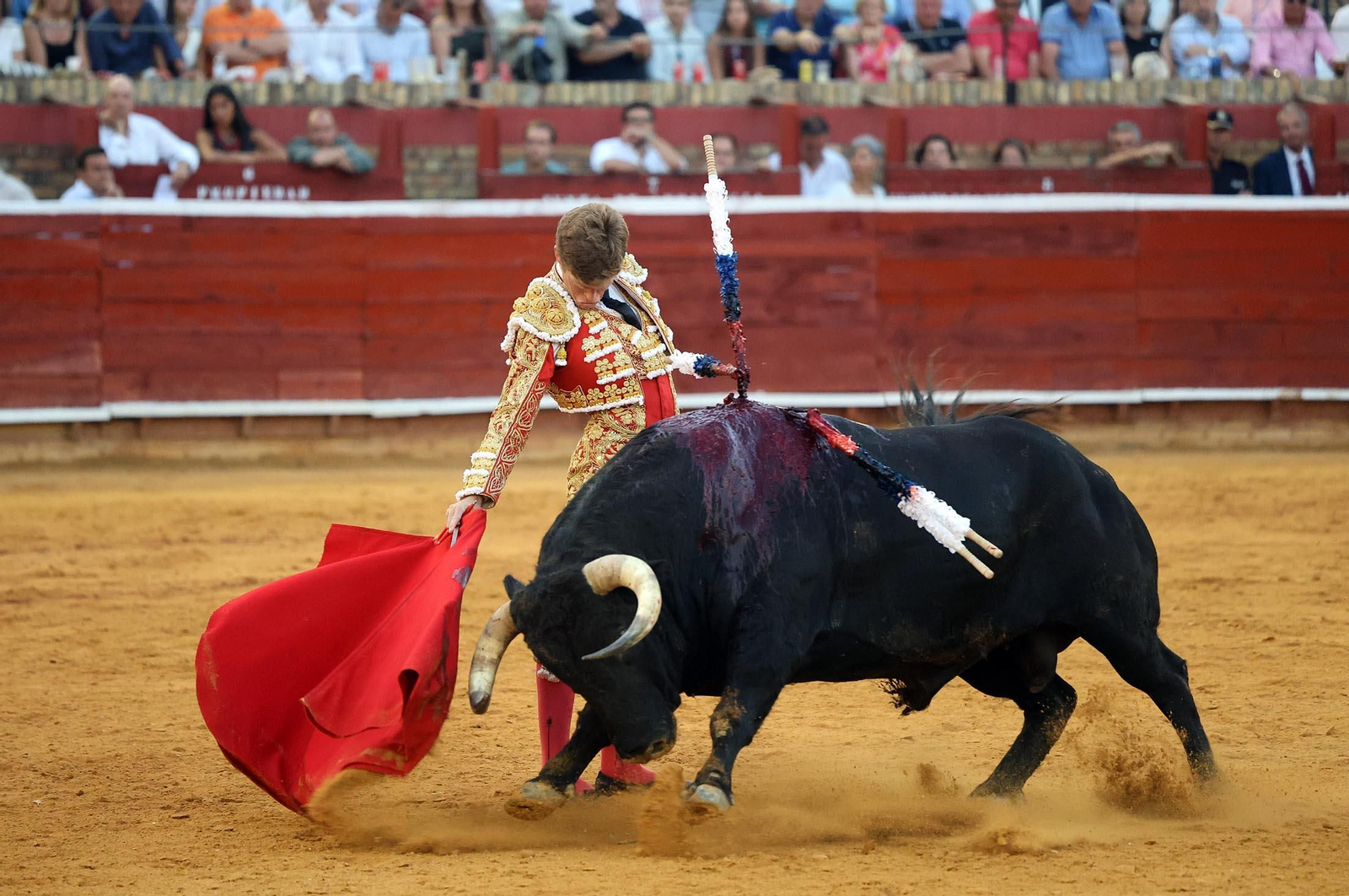 Toros La Merced 2025: Imágenes de la corrida de David de Miranda, Marco Pérez y Borja Jiménez