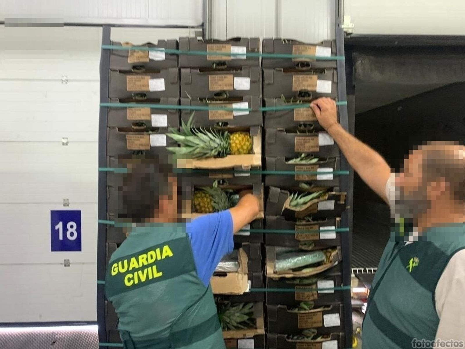 Cocaína escondida en piñas encontrada en Algeciras procedente de Costa Rica.