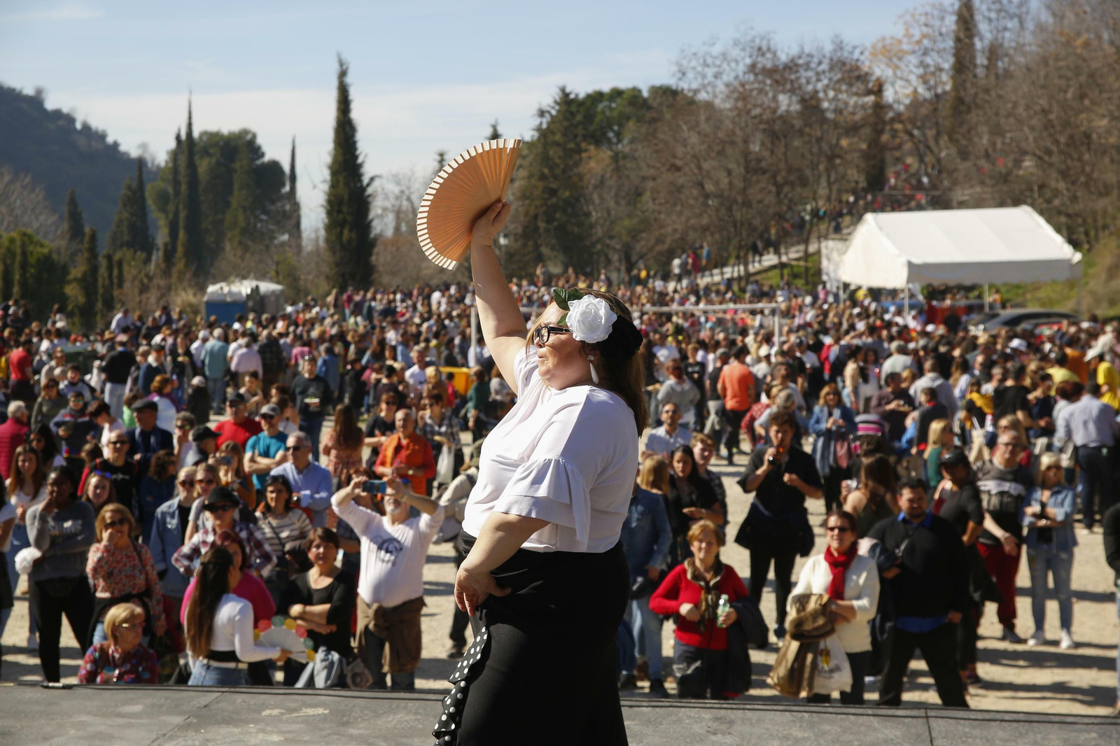 Las mejores imágenes de San Cecilio