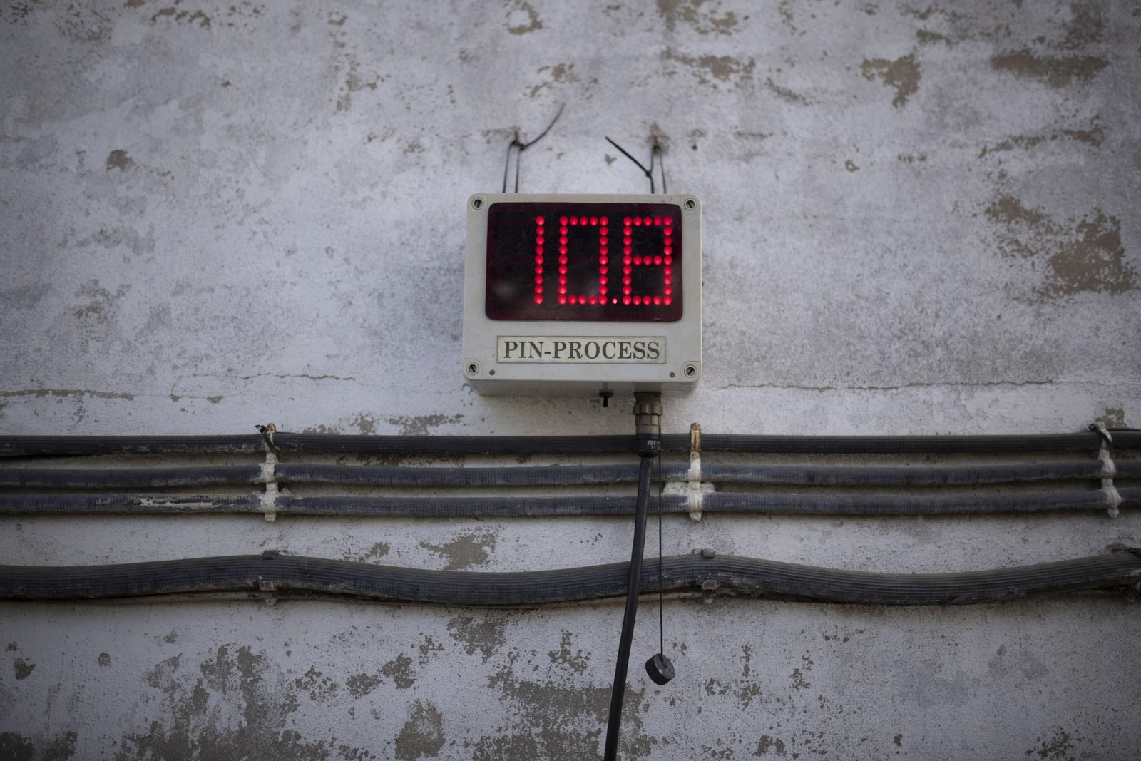 Imágenes de la vendimia en el Condado de Huelva