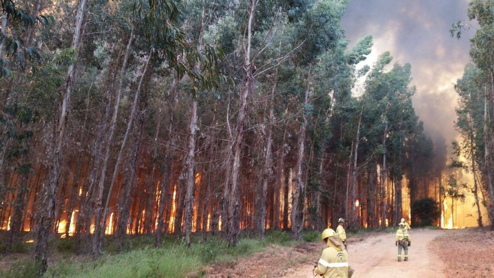 El incendio en Fuente de la Corcha en 2016.