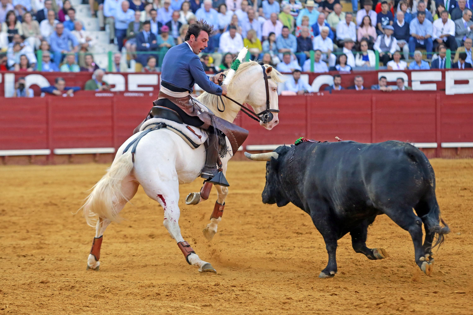 Corrida de Rejones en la plaza de Toros de Jerez