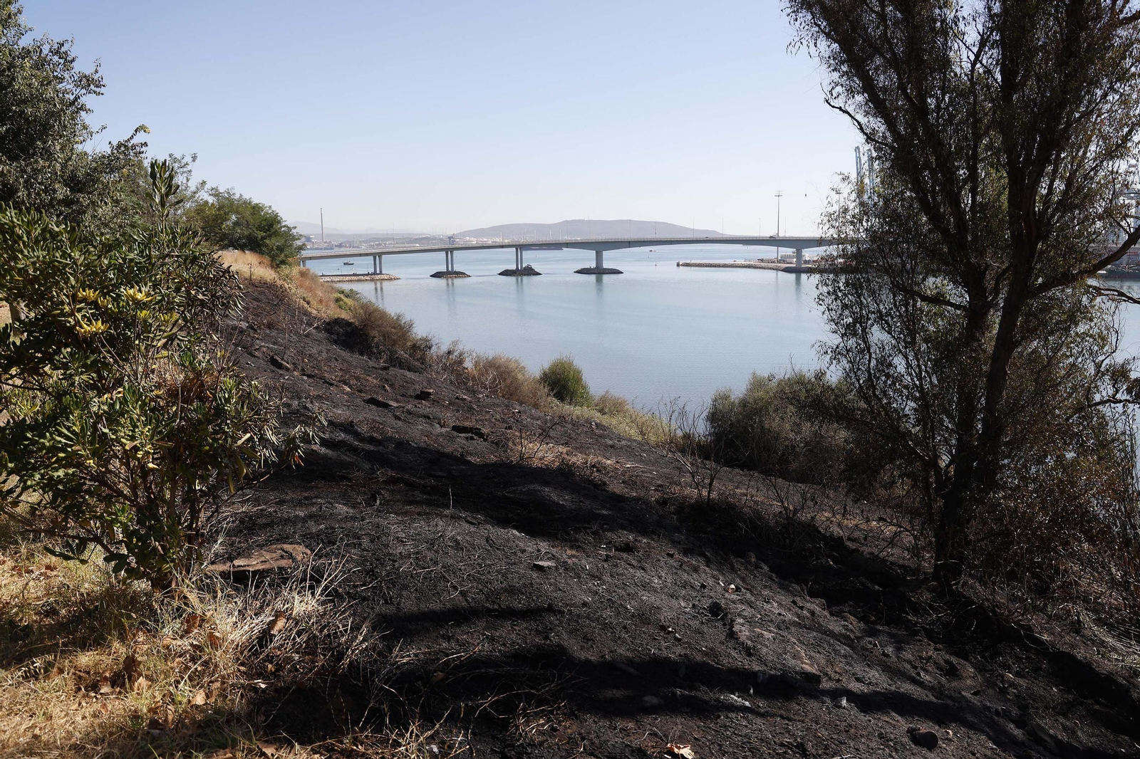 Así ha quedado la zona quemada por el incendio en el Paseo de la Cornisa de Algeciras