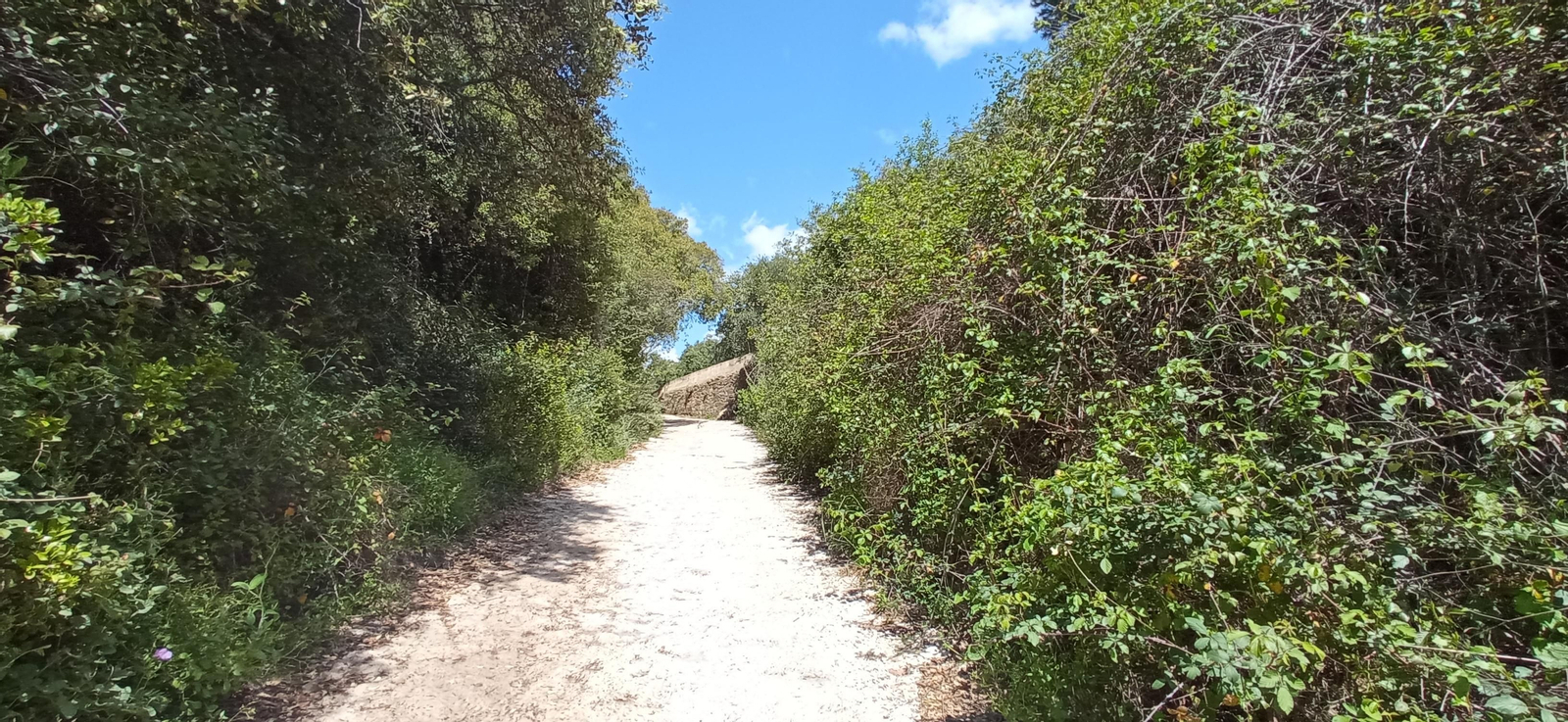Las imágenes de la ruta de las casas de los Tres Cerditos