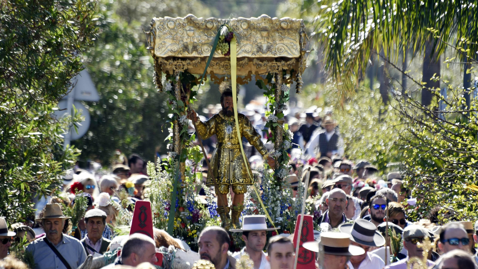 Salida de la Romería de Los Barrios en imágenes