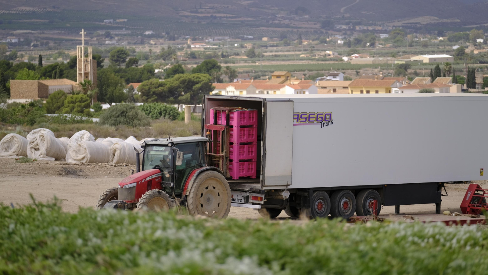 La sandía y el melón de Huércal Overa, manjares en imágenes