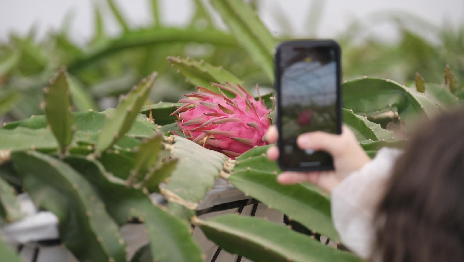 Imágenes del Foro Datagri en Las Palmerillas Cajamar