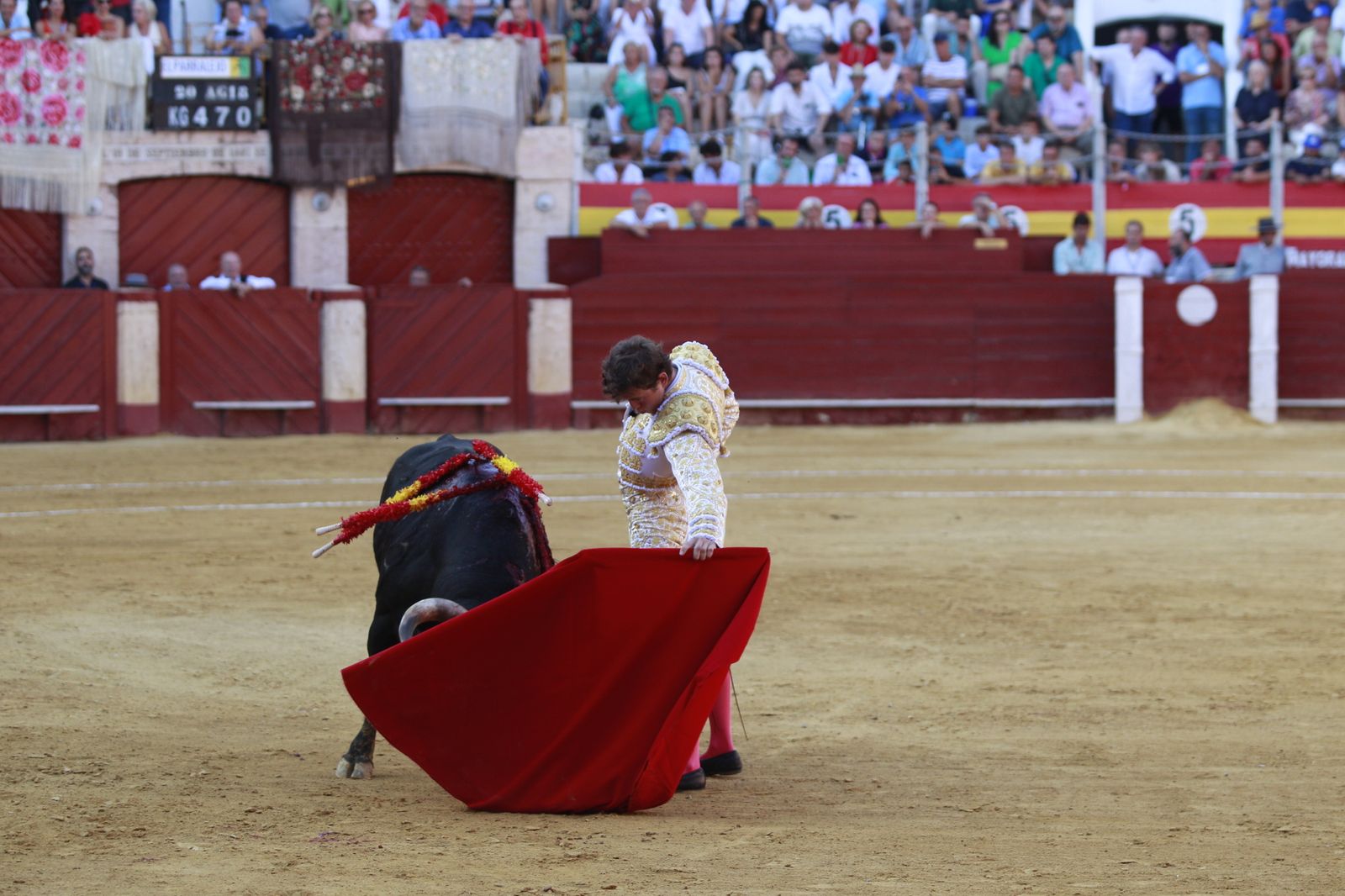 Imágenes del triunfo del torero almeriense Jorge Martínez el día de su alternativa