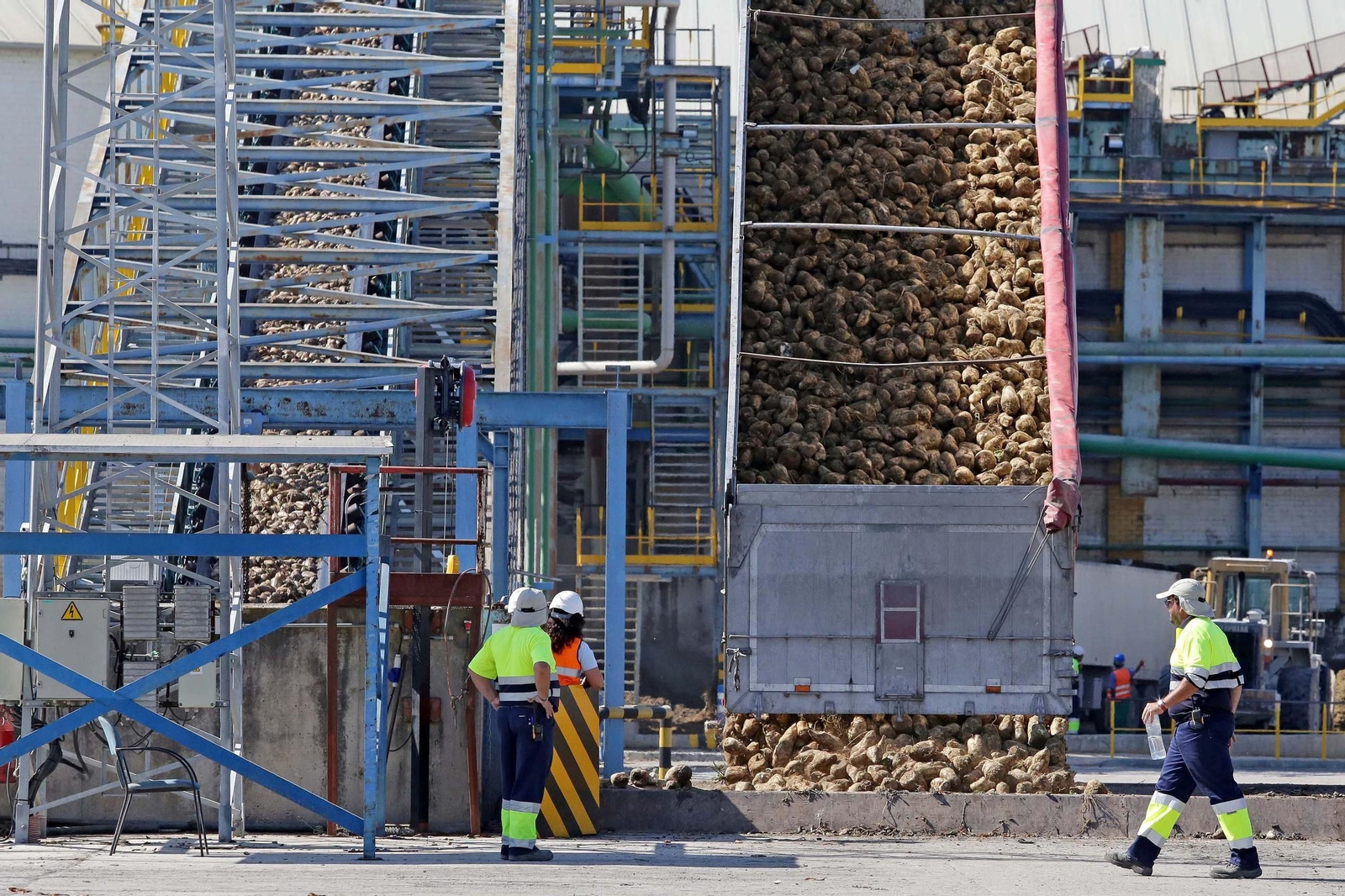 Recepción de remolacha en la planta de Azucarera en Jerez, en una imagen de archivo.