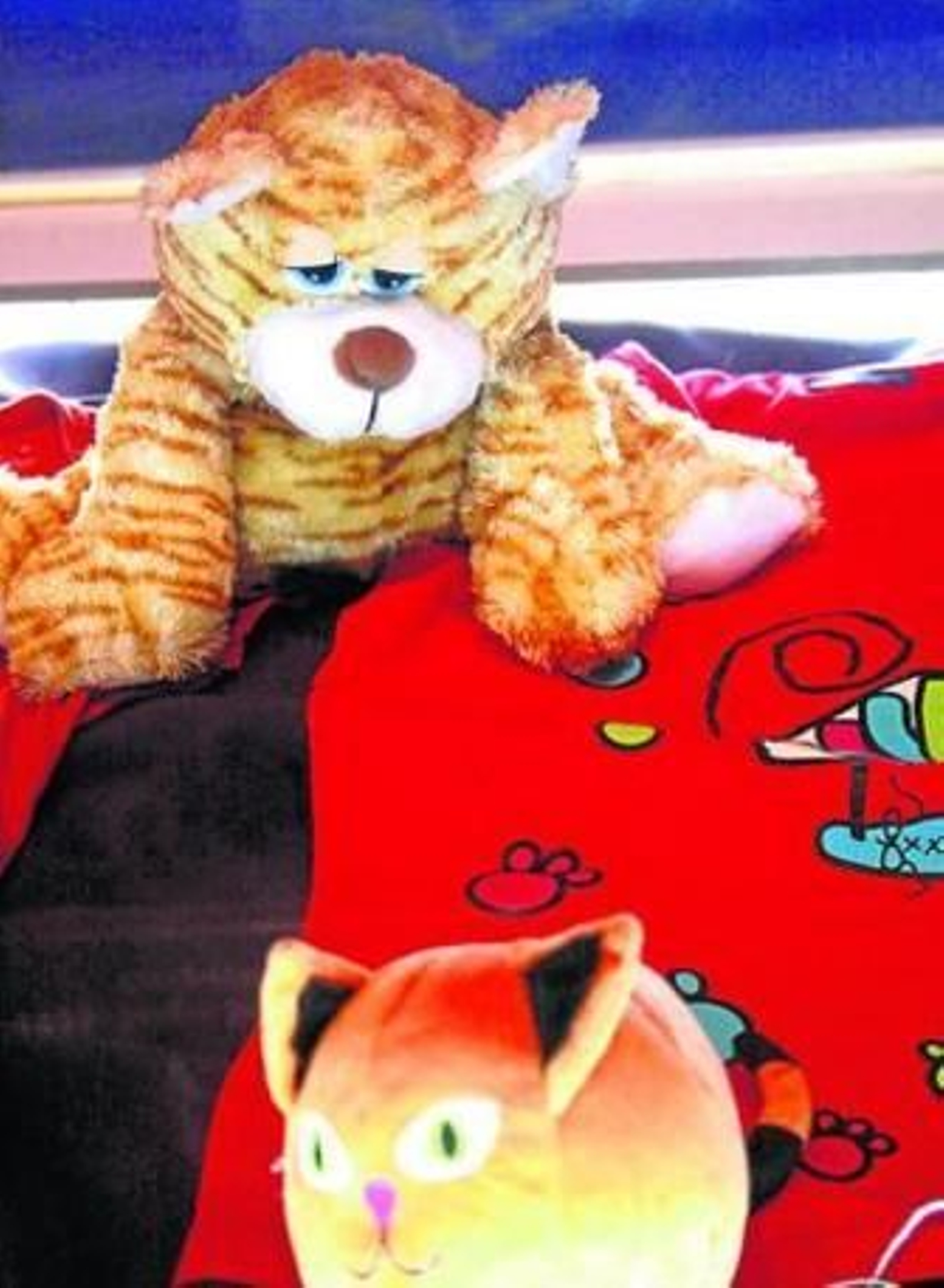 La exposición cuenta con objetos de todo tipo de material que representan al gato.