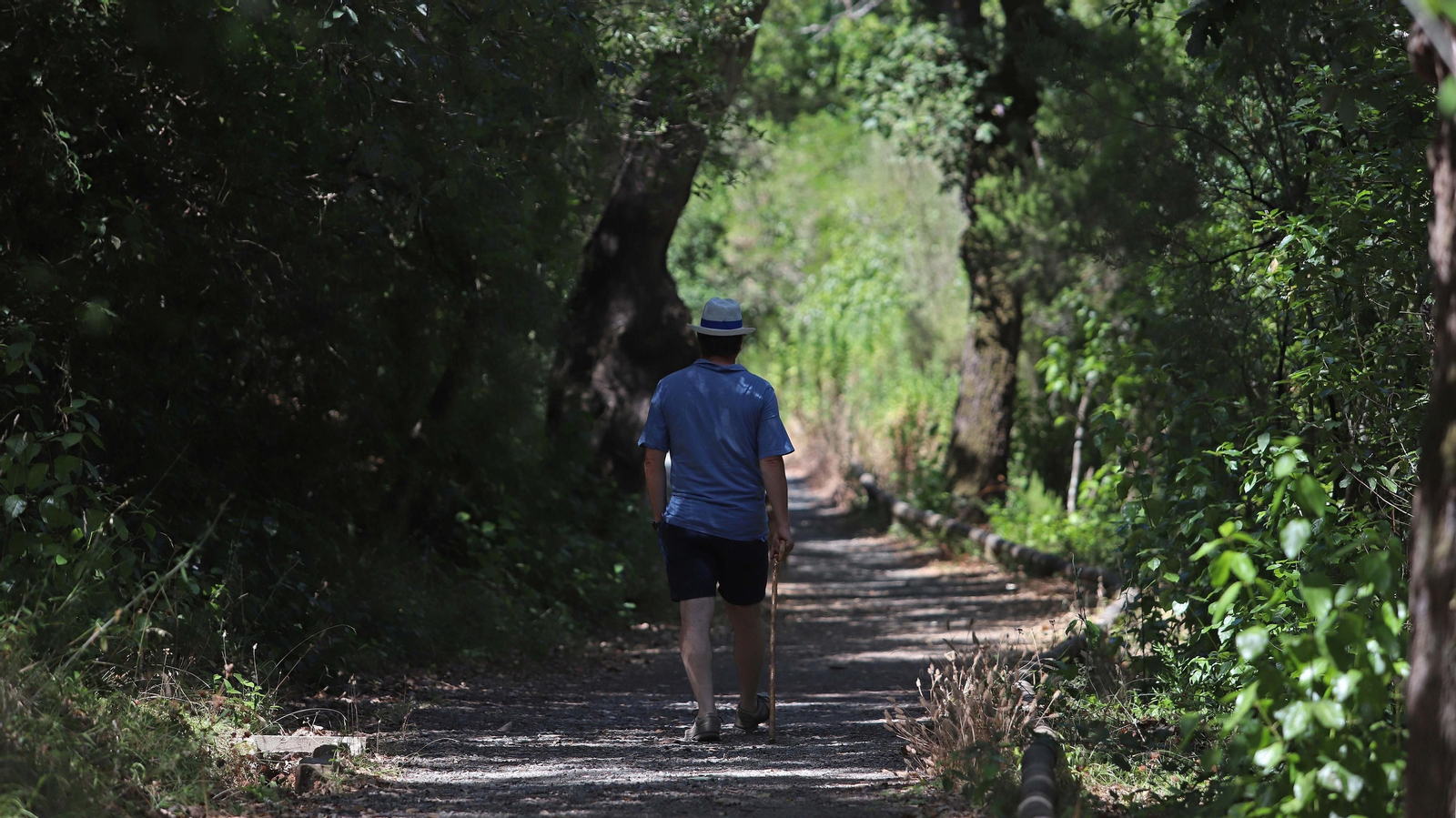 Las mejores fotos de la Montera del Torero y Valdeinfierno