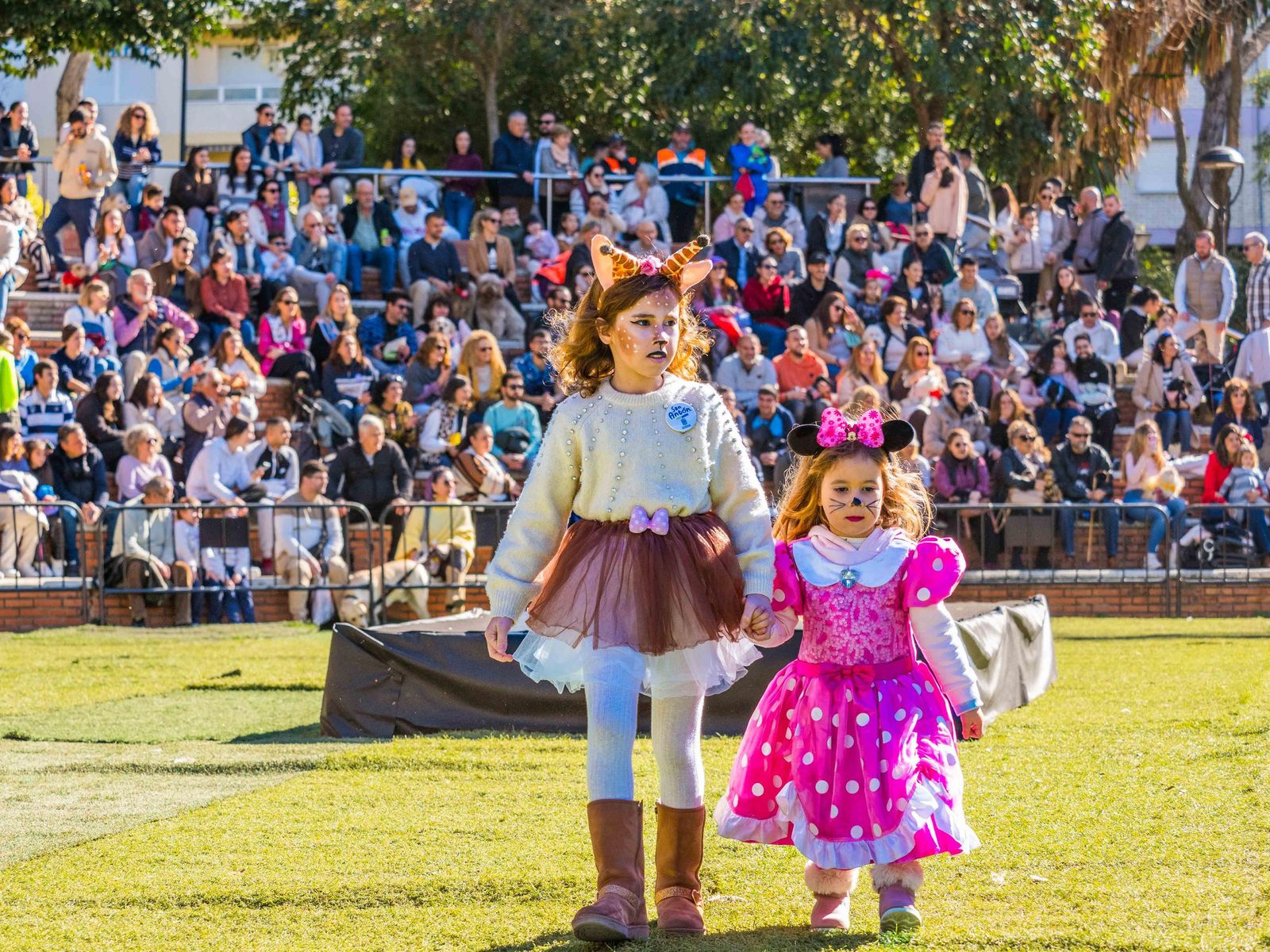 Las imágenes de San Antón 2025 en San Fernando