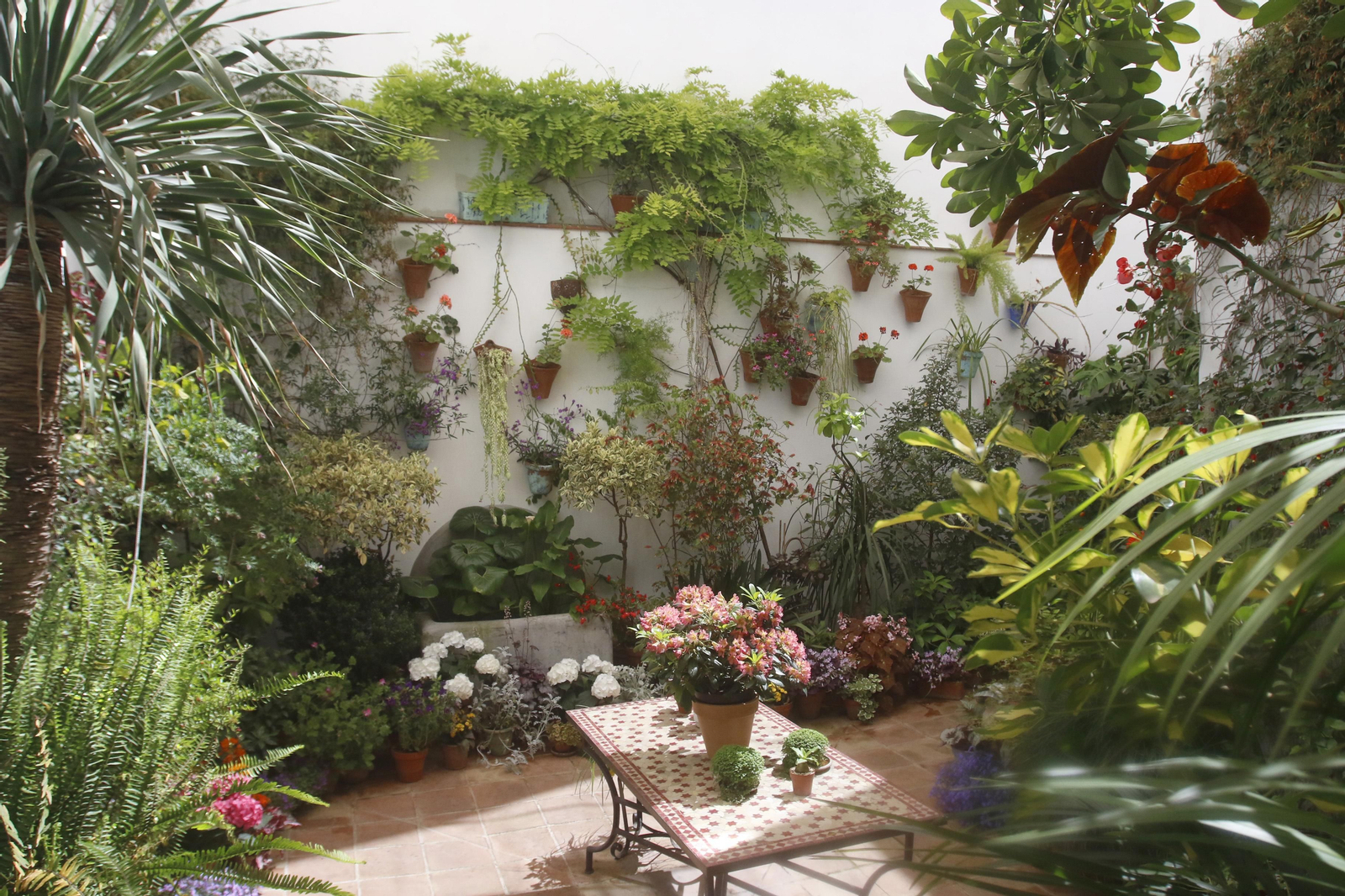 Ruta San Lorenzo de los Patios de Córdoba, en imágenes