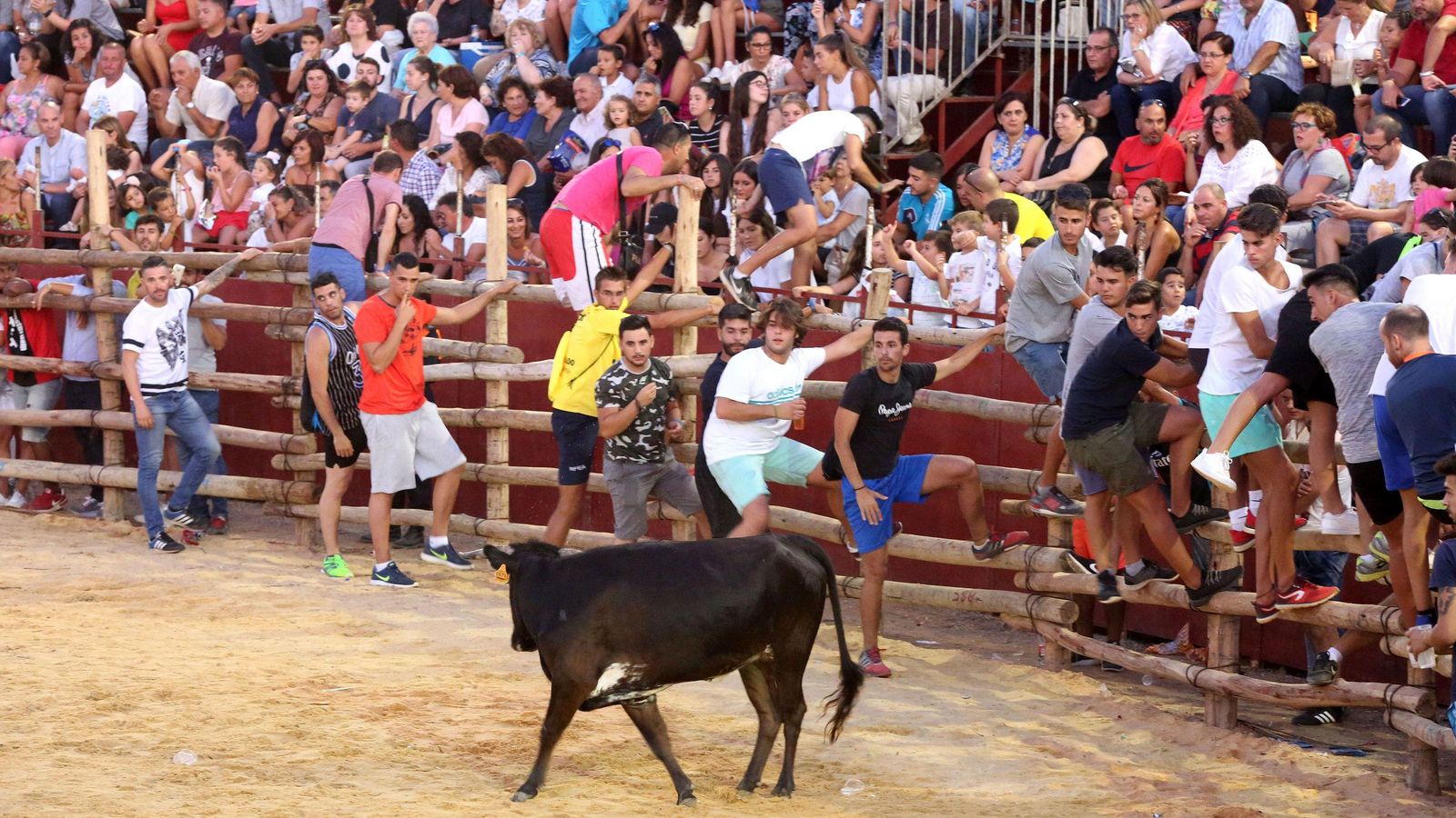 Fiestas taurinas Trigueros