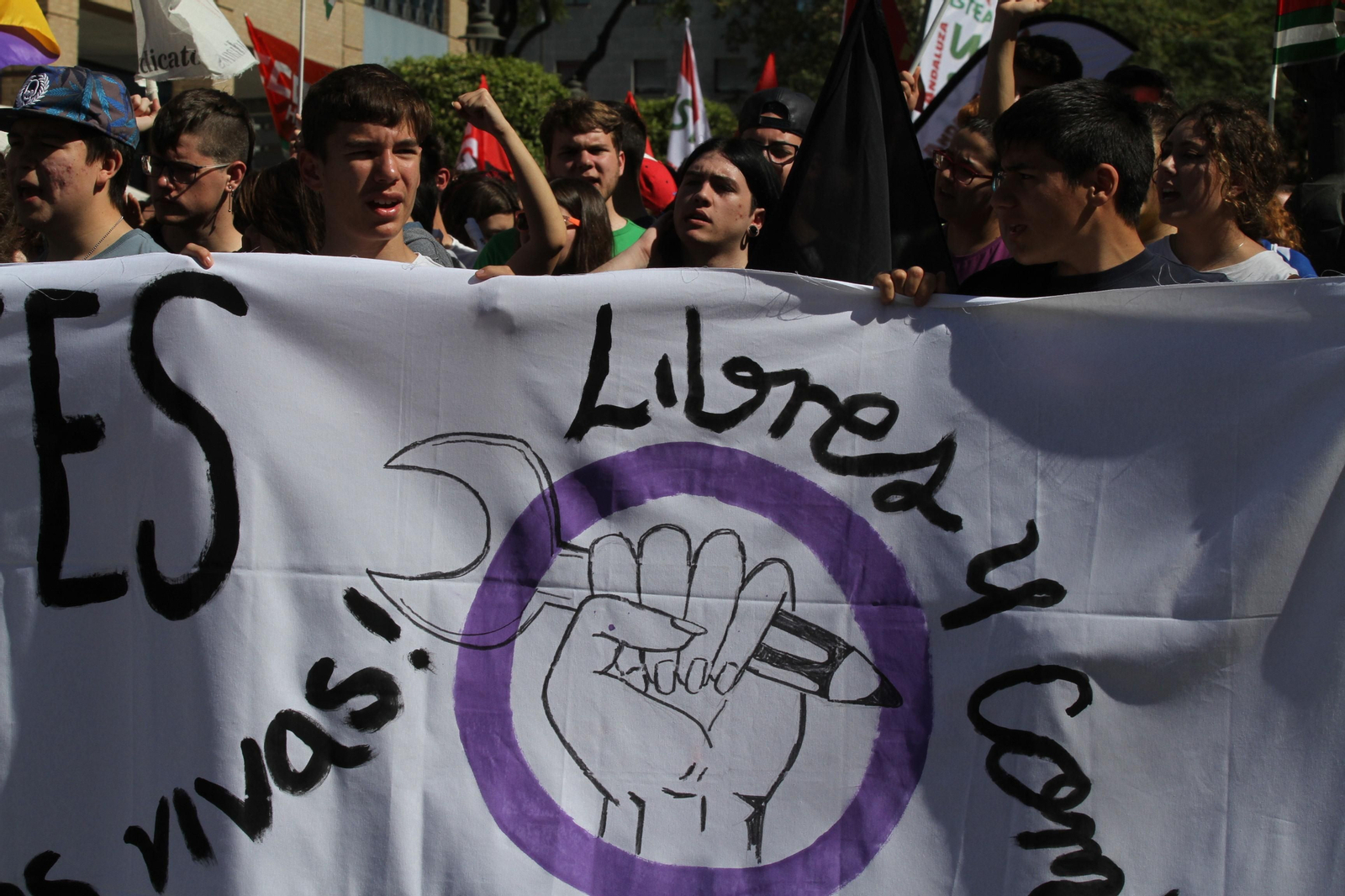 Imágenes  de la manifestación contra la Lomce en Huelva