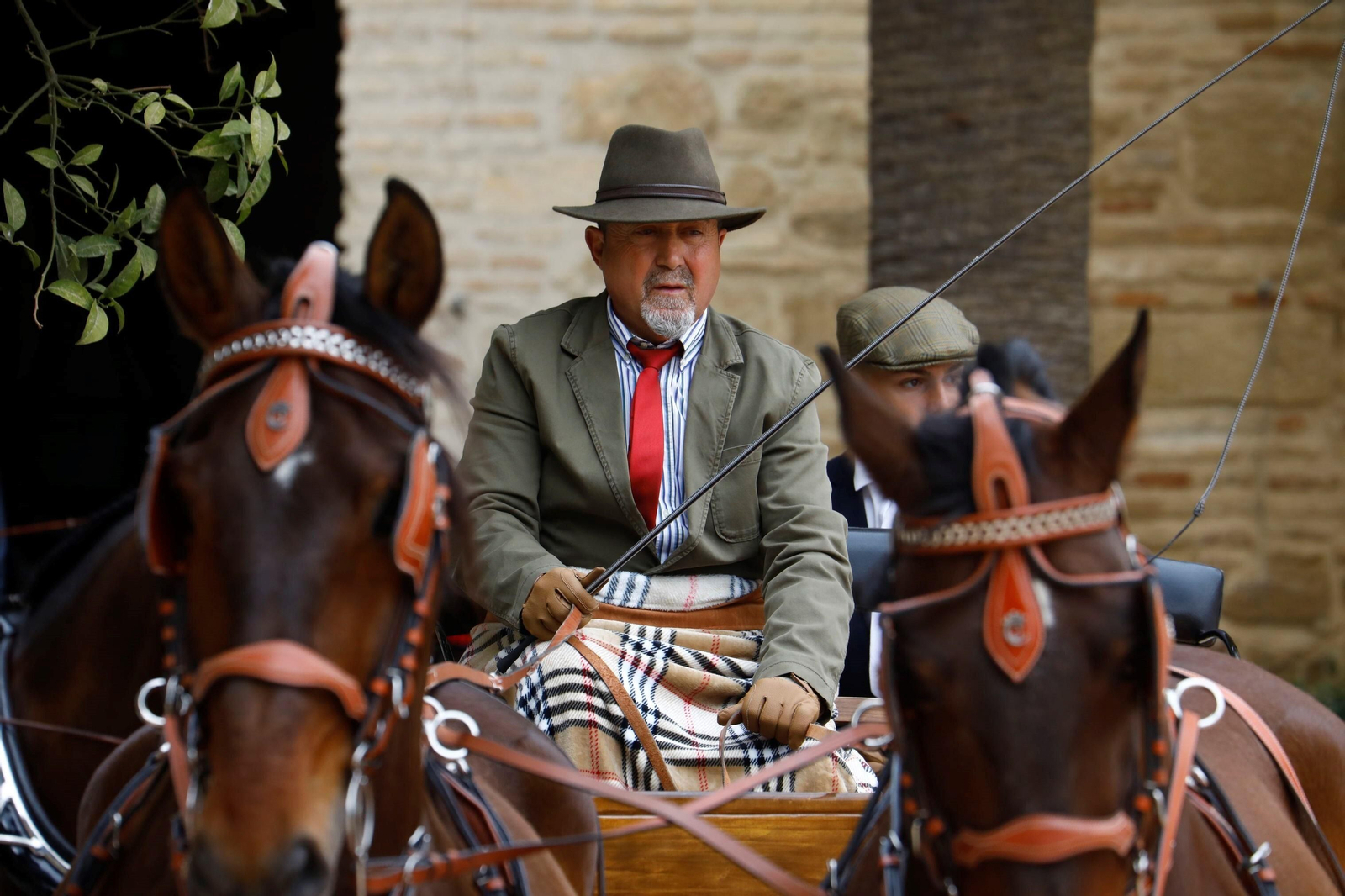 La exhibición de enganches en Caballerizas Reales de Córdoba, en imágenes