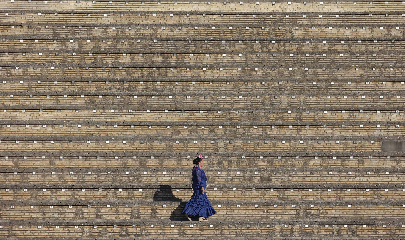 Fotos de la novillada sin picadores del miércoles de la Feria Real de Algeciras 2025