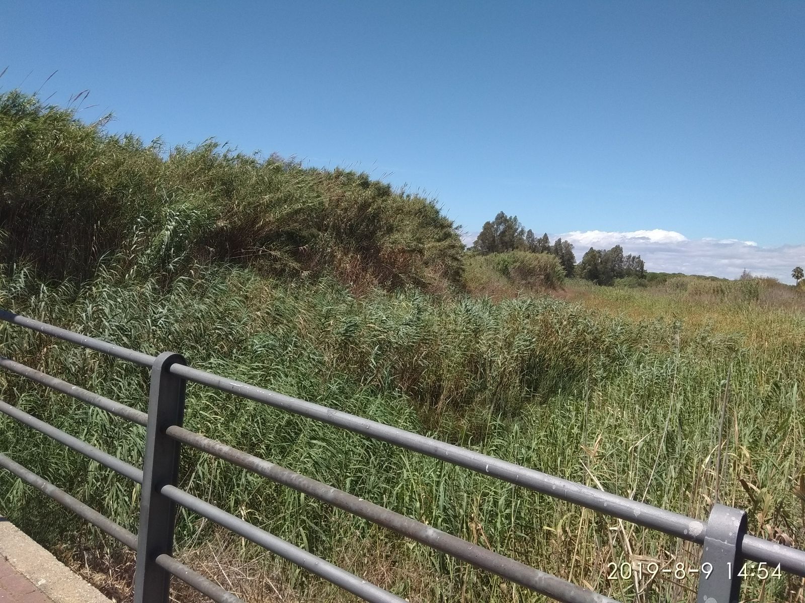 Arroyo El Chorrillo.