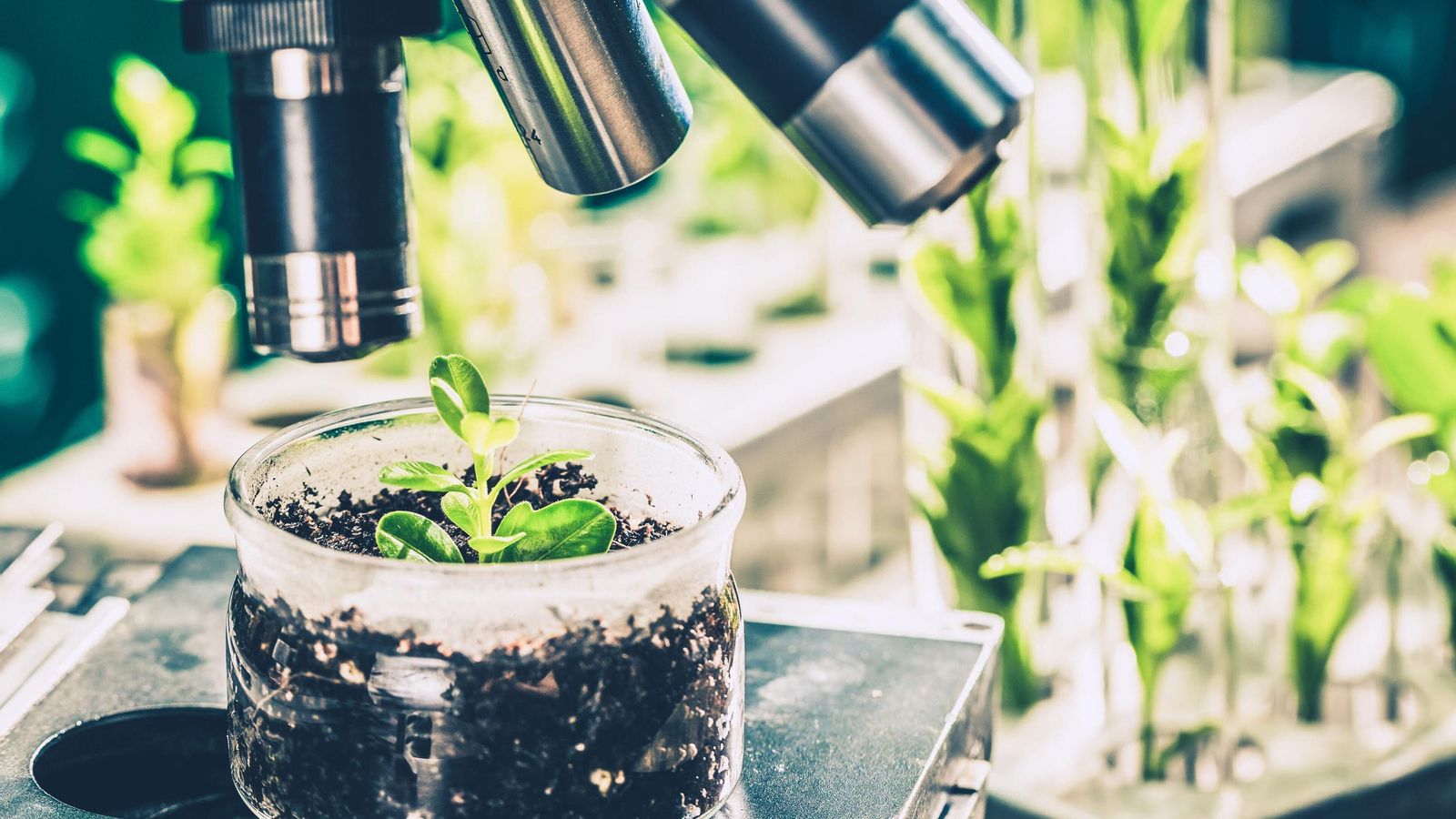 Un laboratorio vivo donde confluyen la inteligencia artificial (IA), la biotecnología y la nutrición animal. Un laboratorio vivo donde confluyen la inteligencia artificial (IA), la biotecnología y la nutrición animal.