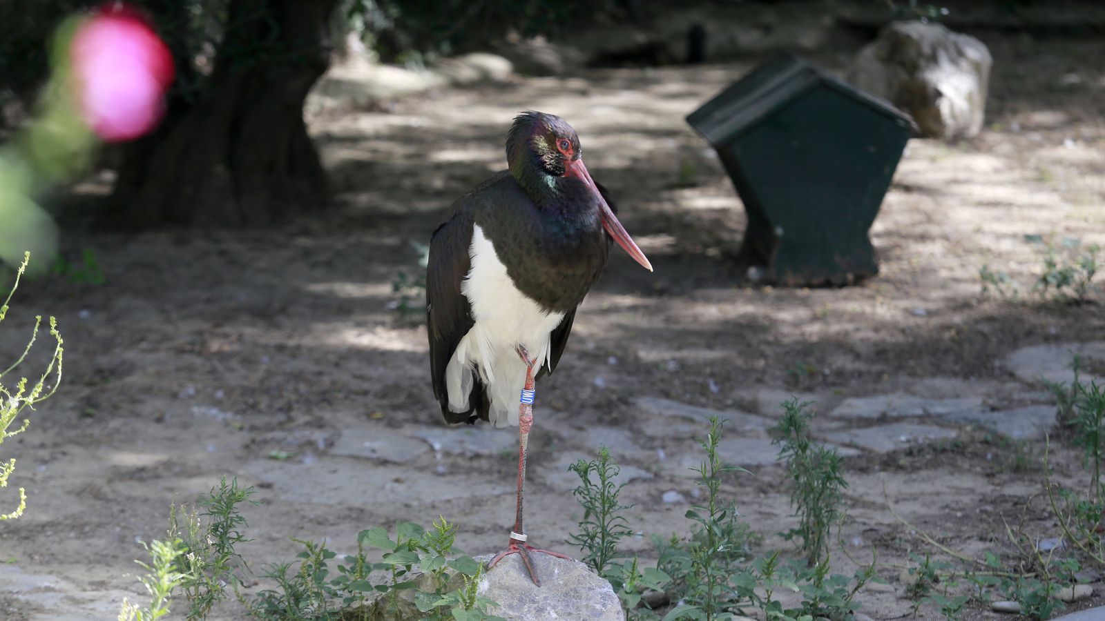 Reapertura del Zoo de Jerez