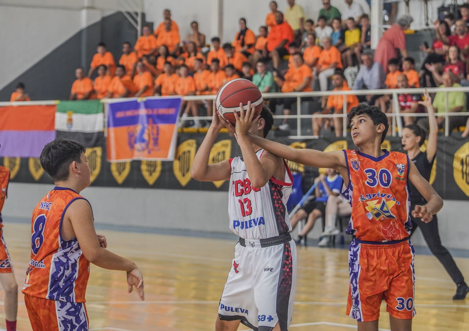 El Campeonato de España de minibasket en imágenes