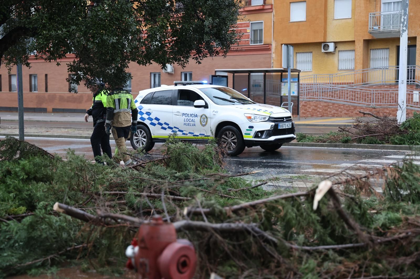 Fotografías de los destrozos de la borrasca Kristin en Huelva este miércoles