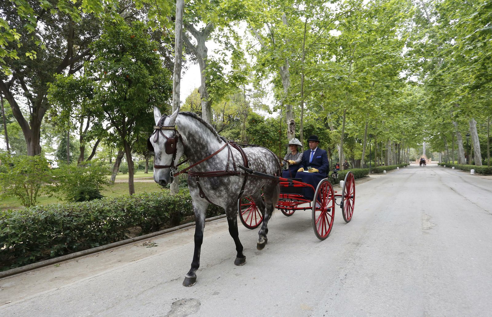 El concurso de enganches, en imágenes