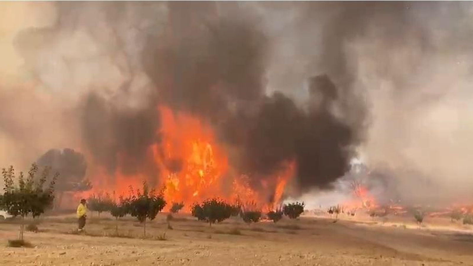 Incendio forestal declarado en el paraje conocido como Las Asperillas