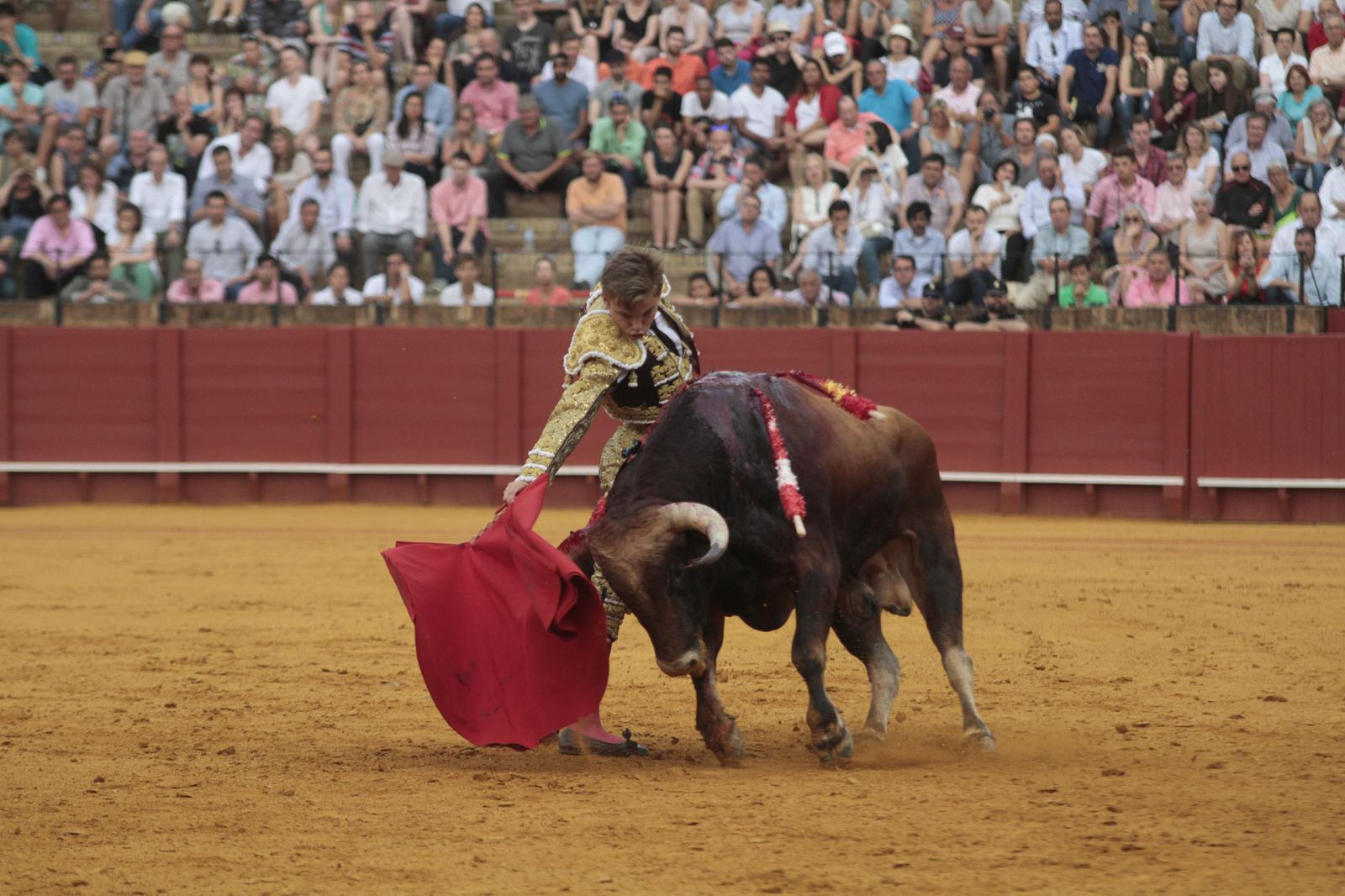 Las imágenes de la decimosexta de abono de La Maestranza
