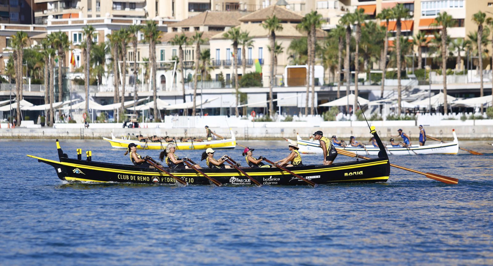 Las fotos de la carrera de jábegas en el puerto de Málaga