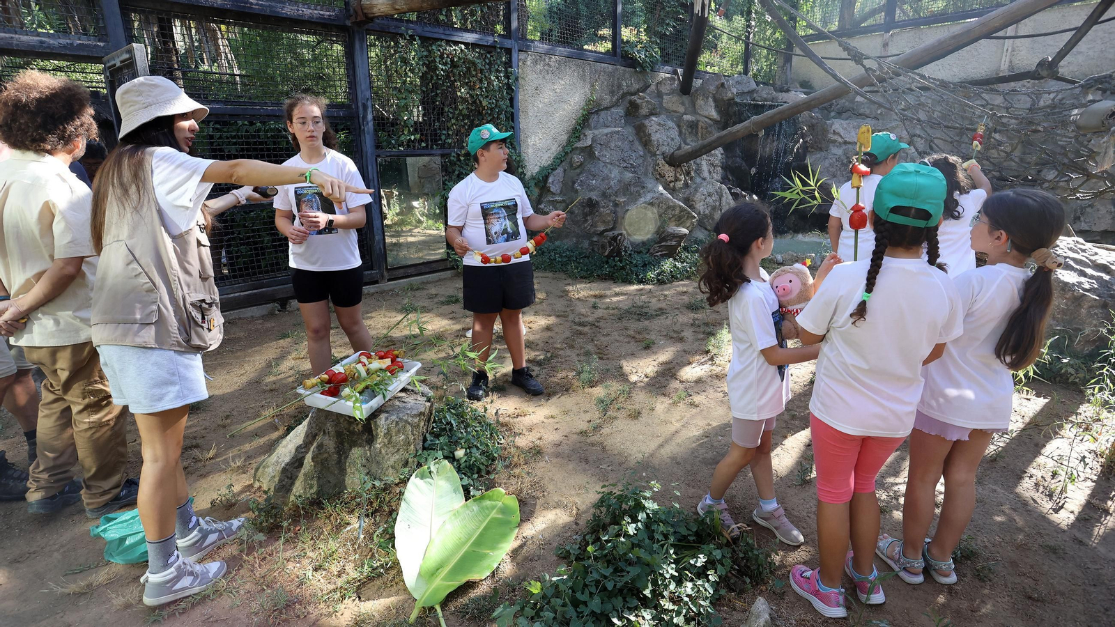 Visita a la escuela de verano en el Zoo de Jerez