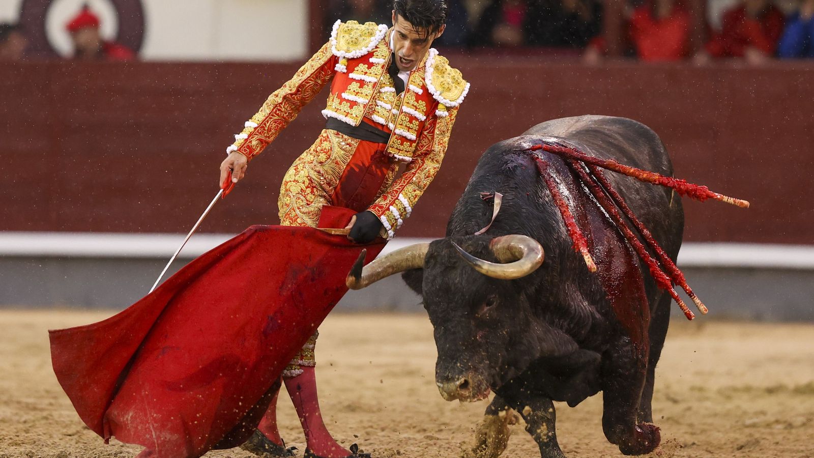 Alejandro Talavante, en un improvisado ayudado por bajo a ‘Cornetillo’, el primer toro de su lote.