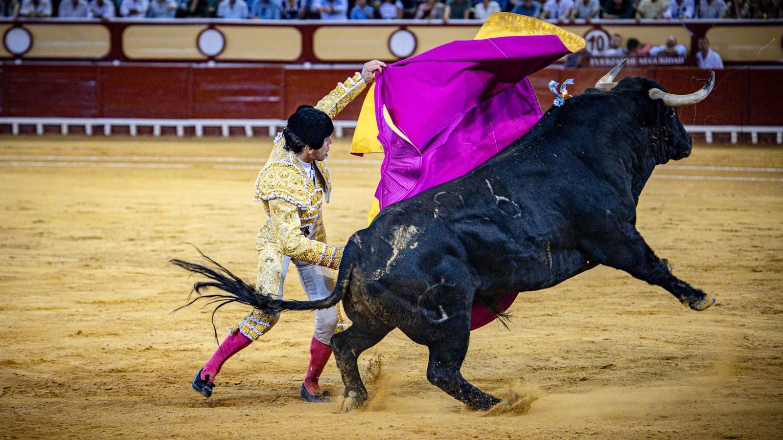 Las imágenes de la corrida de toros en El Puerto: Morante, Talavante y Juan Ortega