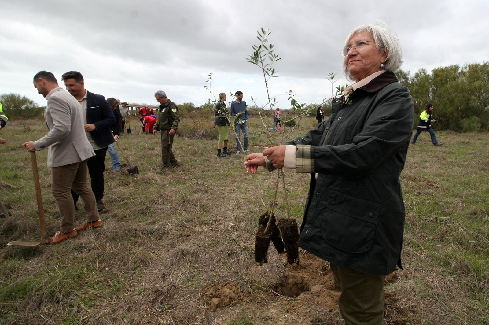 Imágenes de la plantación de árboles en los Llanos de Bacuta, en el Paraje Natural Marismas del Odiel, Huelva