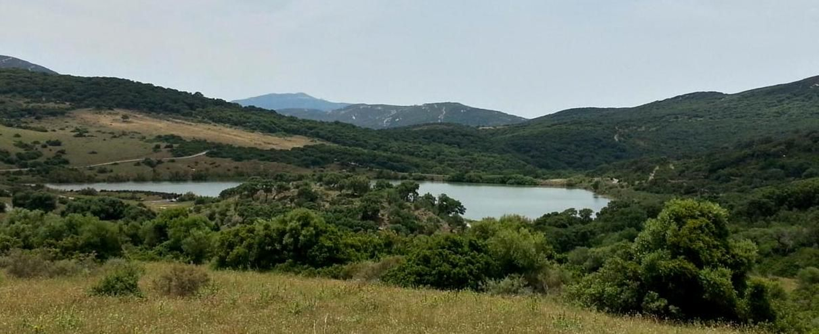 Vista de la dehesa de Zanona (Los Barrios), uno de los “echos” aprovechados por el Concejo de Gibraltar y sus vecinos tras el repartimiento de 1502.