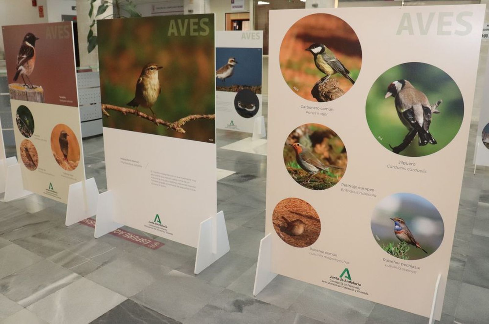 Exposición en el Centro Administrativo Municipal