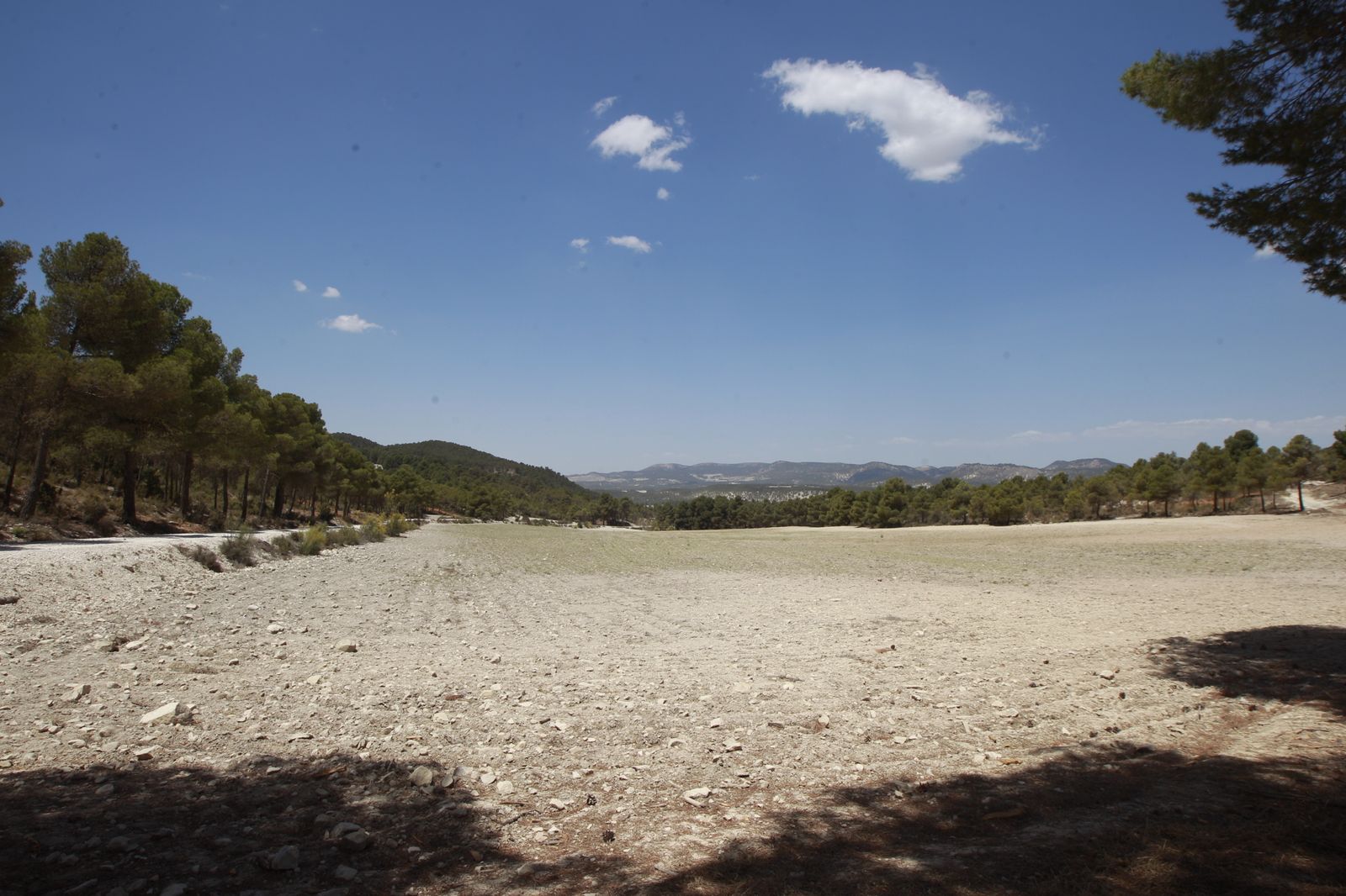 Imágenes de la sequía que golpea con dureza la producción de cereal en Los Vélez
