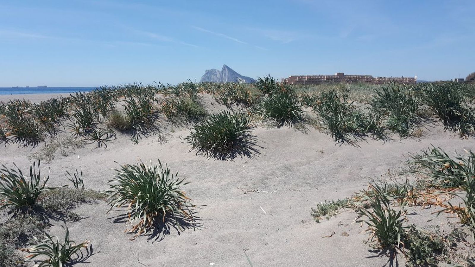 Dunas en la playa de Sobrevela, en la costa de Levante de La Línea