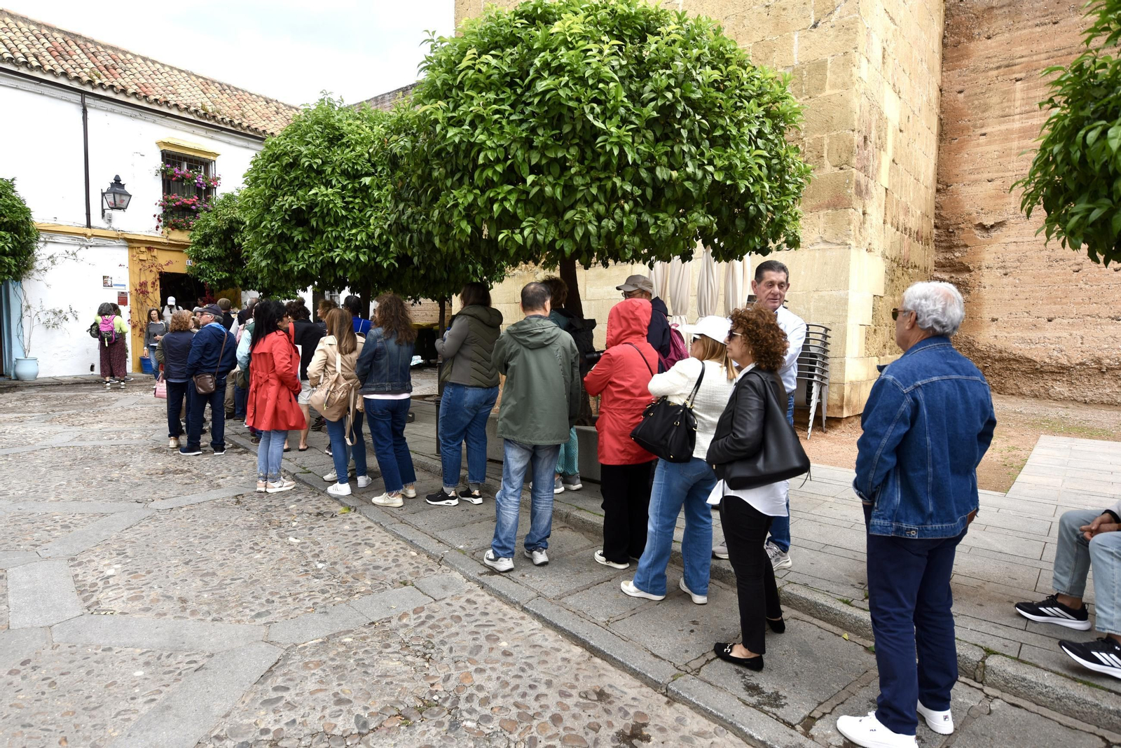 Los Patios de Córdoba de la Ruta del Alcázar Viejo, en imágenes
