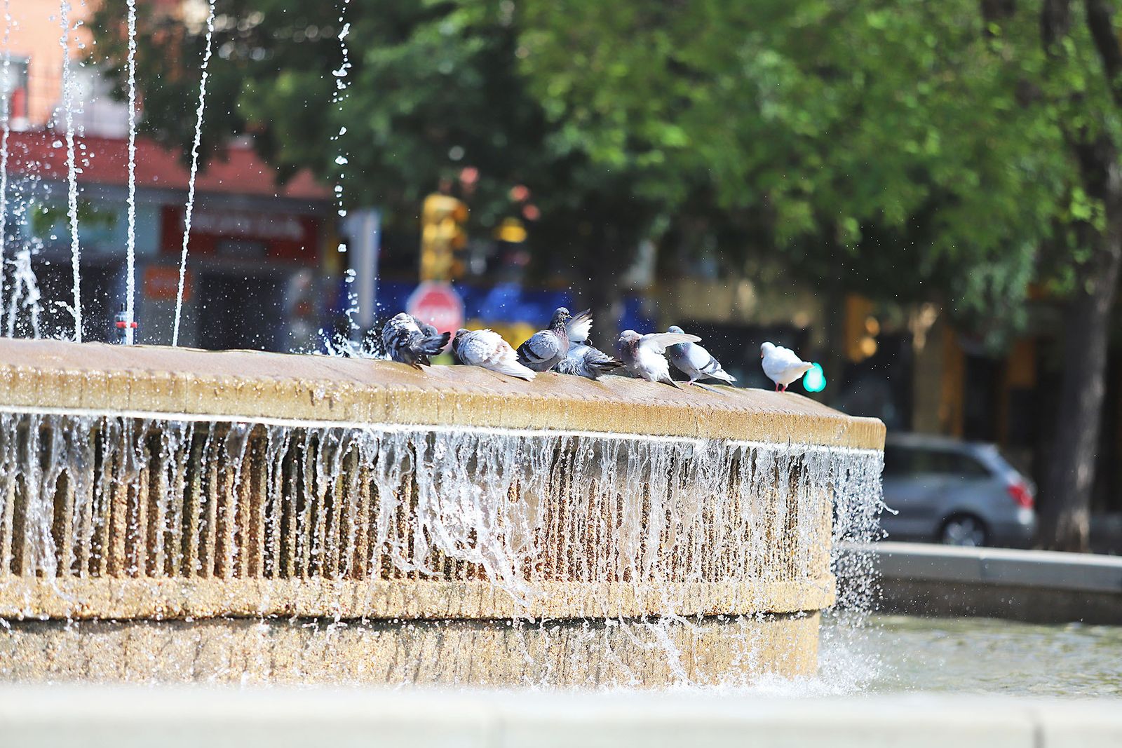 Las imágenes más destacadas del 1 de mayo en Huelva