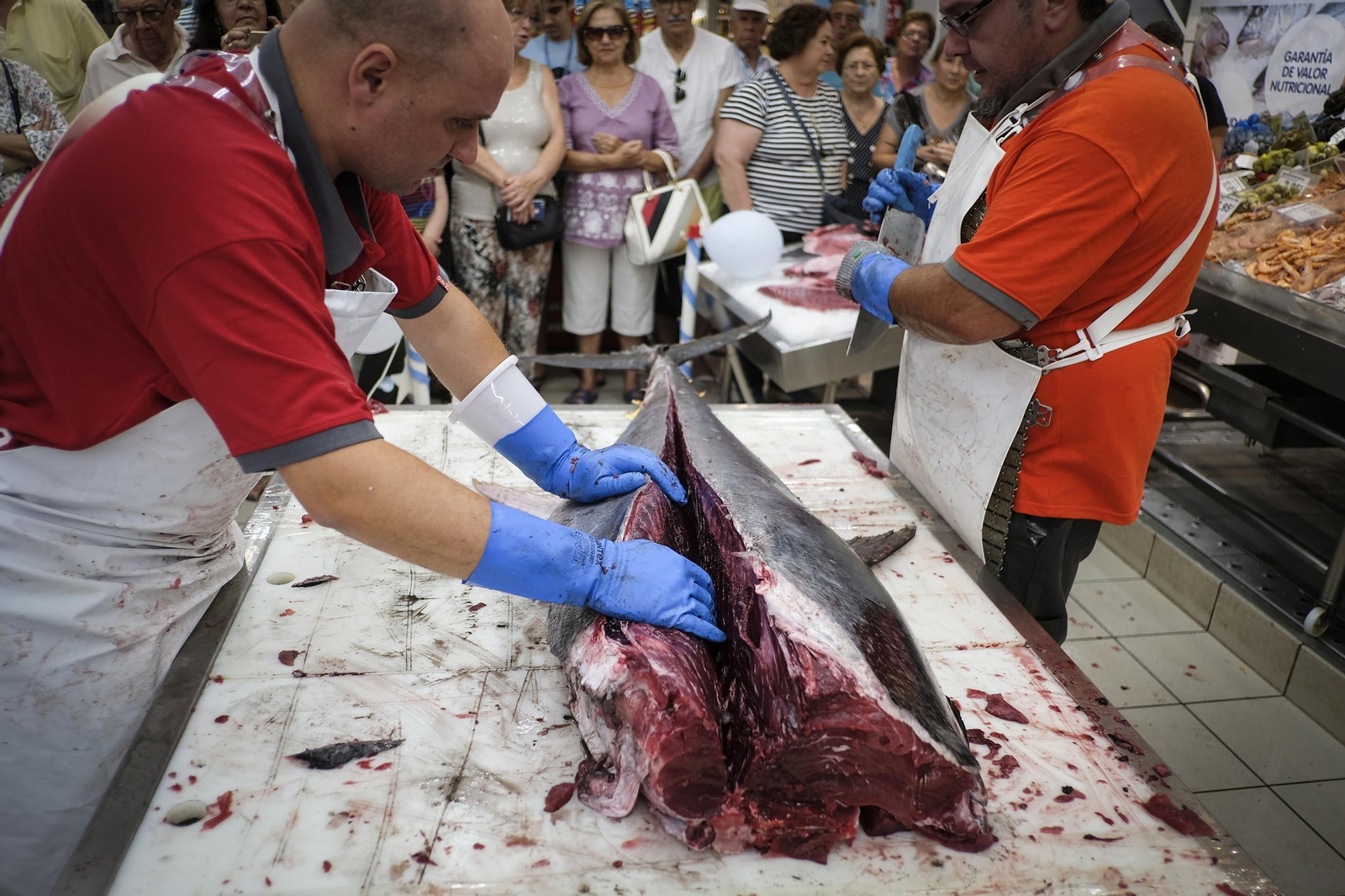 Imágenes del ronqueo en el Maxi Día del Estadio