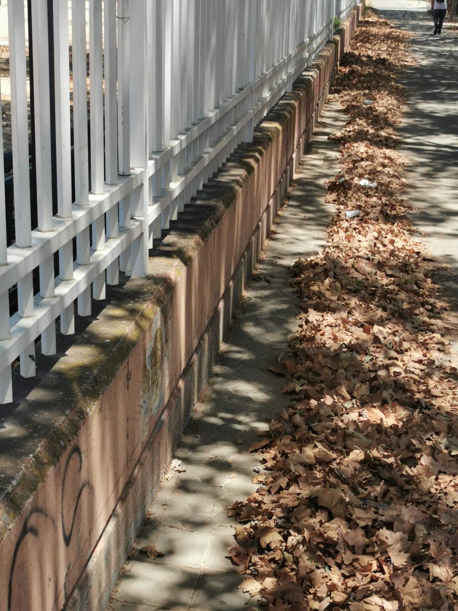 Hojas acumuladas en la calle Pablo Iglesias.