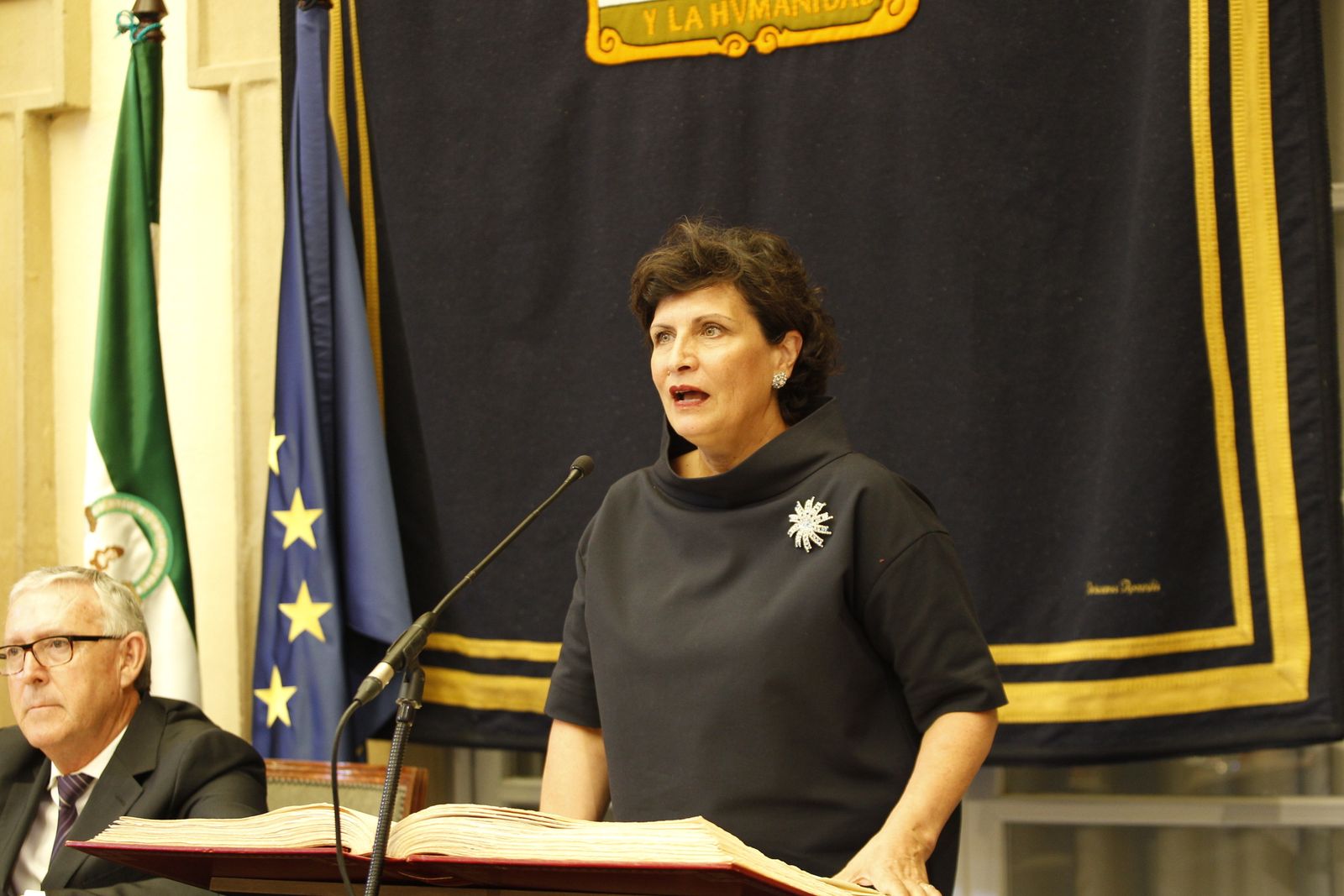 Pleno investidura Presidente Diputación de Almería. Javier Aureliano García