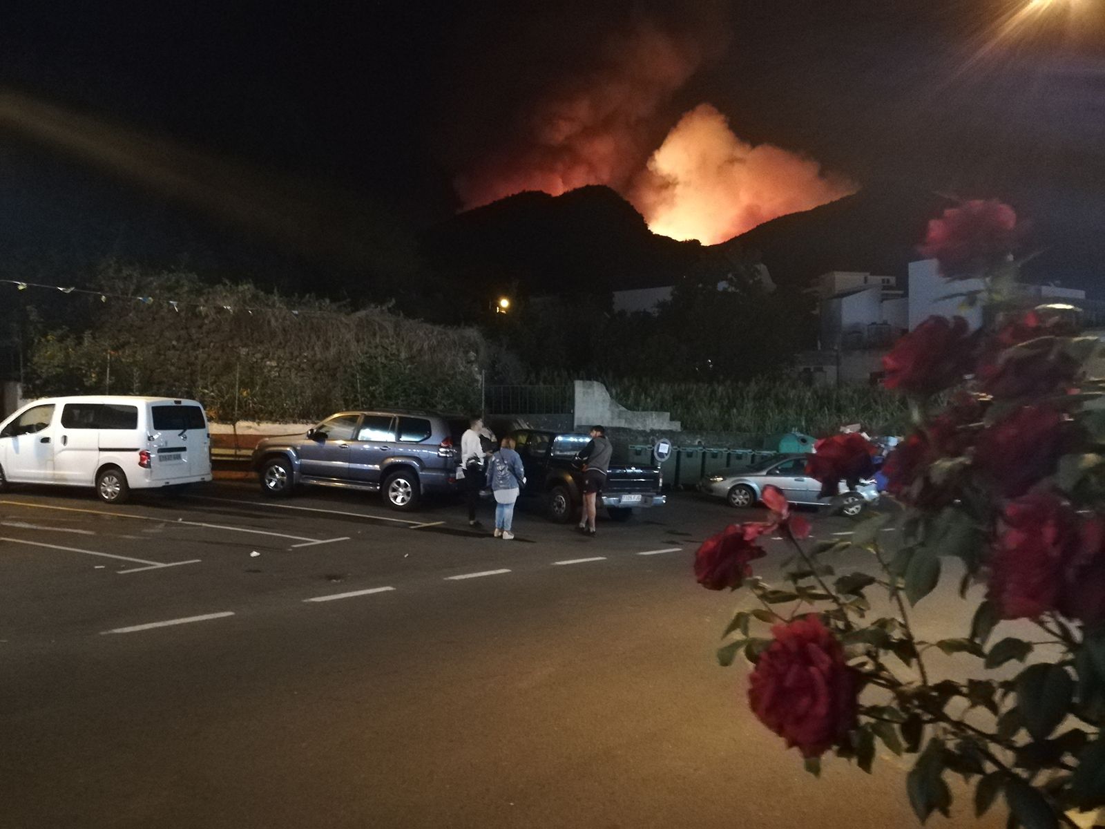 Las imágenes del incendio forestal en Gran Canaria.