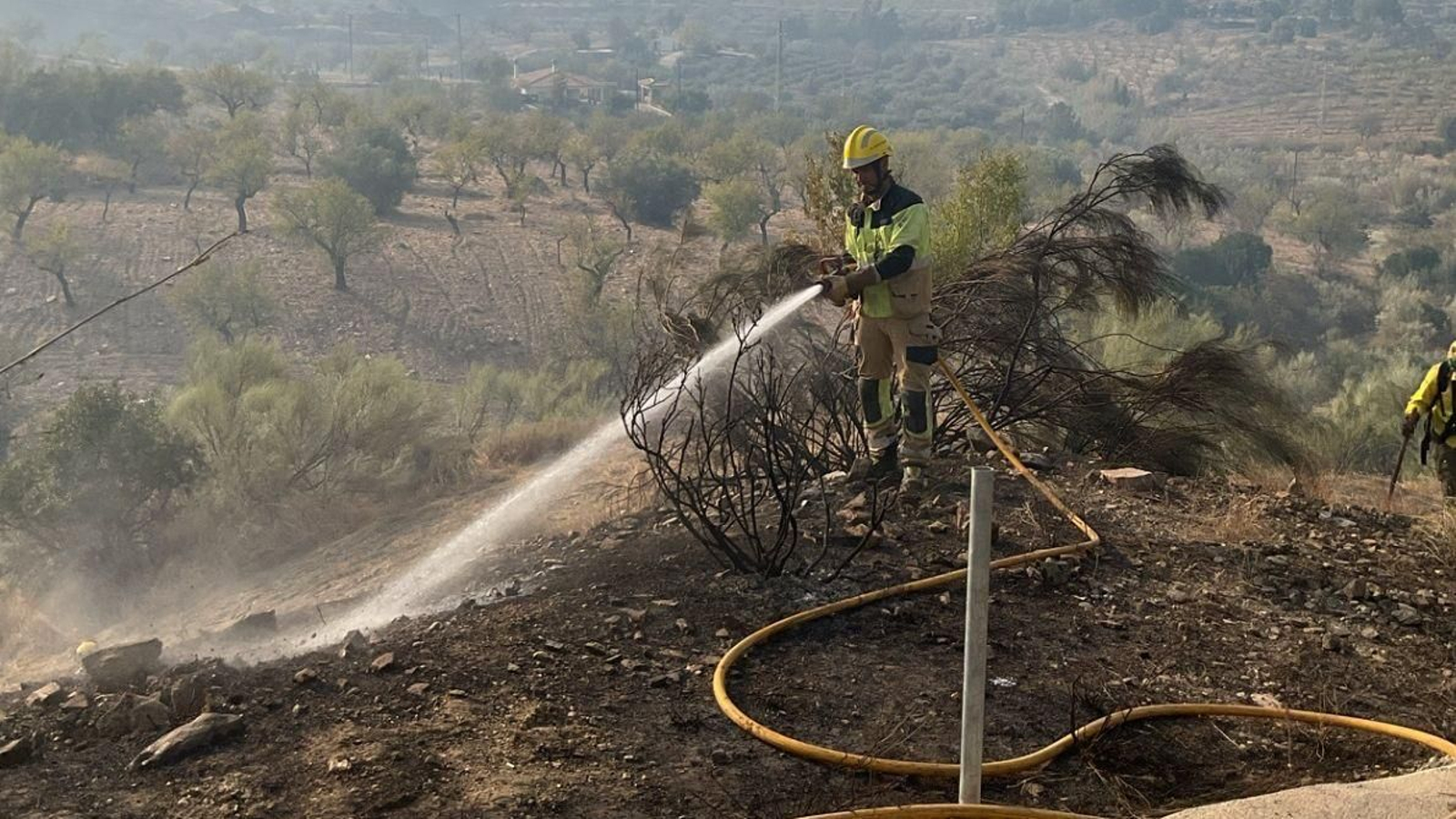 Bomberos del Levante están ayudando en las labores de extinción.