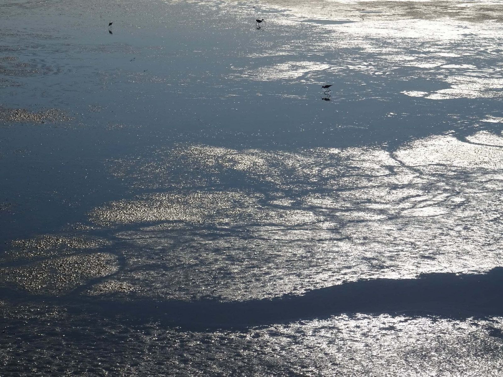 La Laguna de la Mejorada se seca