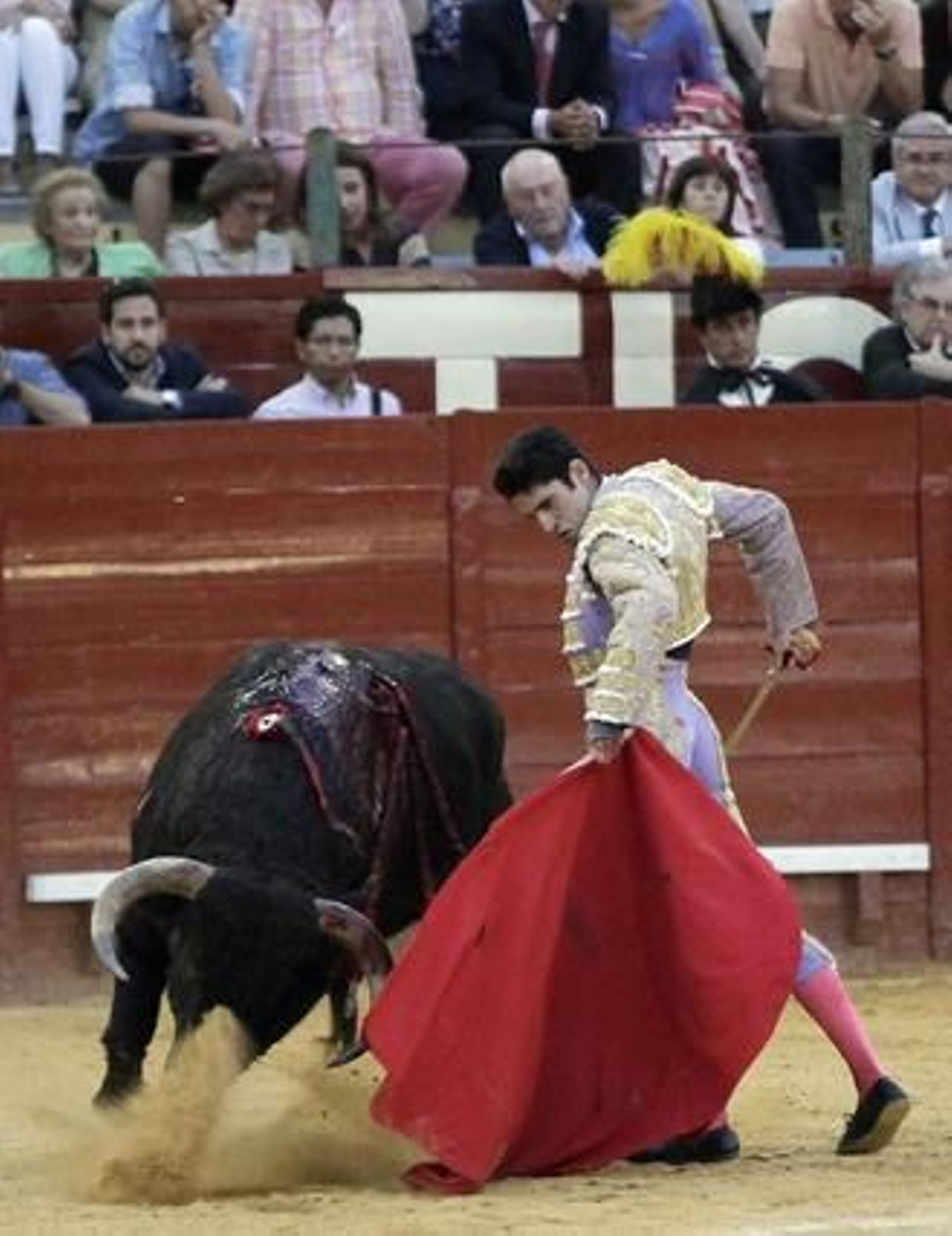 No cabe ninguna duda de la plasticidad de Alejandro Talavante, torero barroco y variado que ayer mostró sus formas toreras en Jerez, las de un torero que tiene un trazo al natural distinto por peculiar. 

Foto: Miguel Angel Gonzalez
